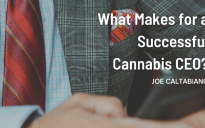 What Makes for a Successful Cannabis CEO?