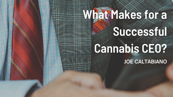 Joe Caltabiano What Makes for a Successful Cannabis CEO?