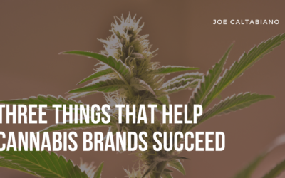 Three Things that Help Cannabis Brands Succeed